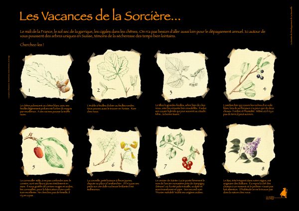 panneau cascade outline