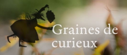 grainesdecurieux
